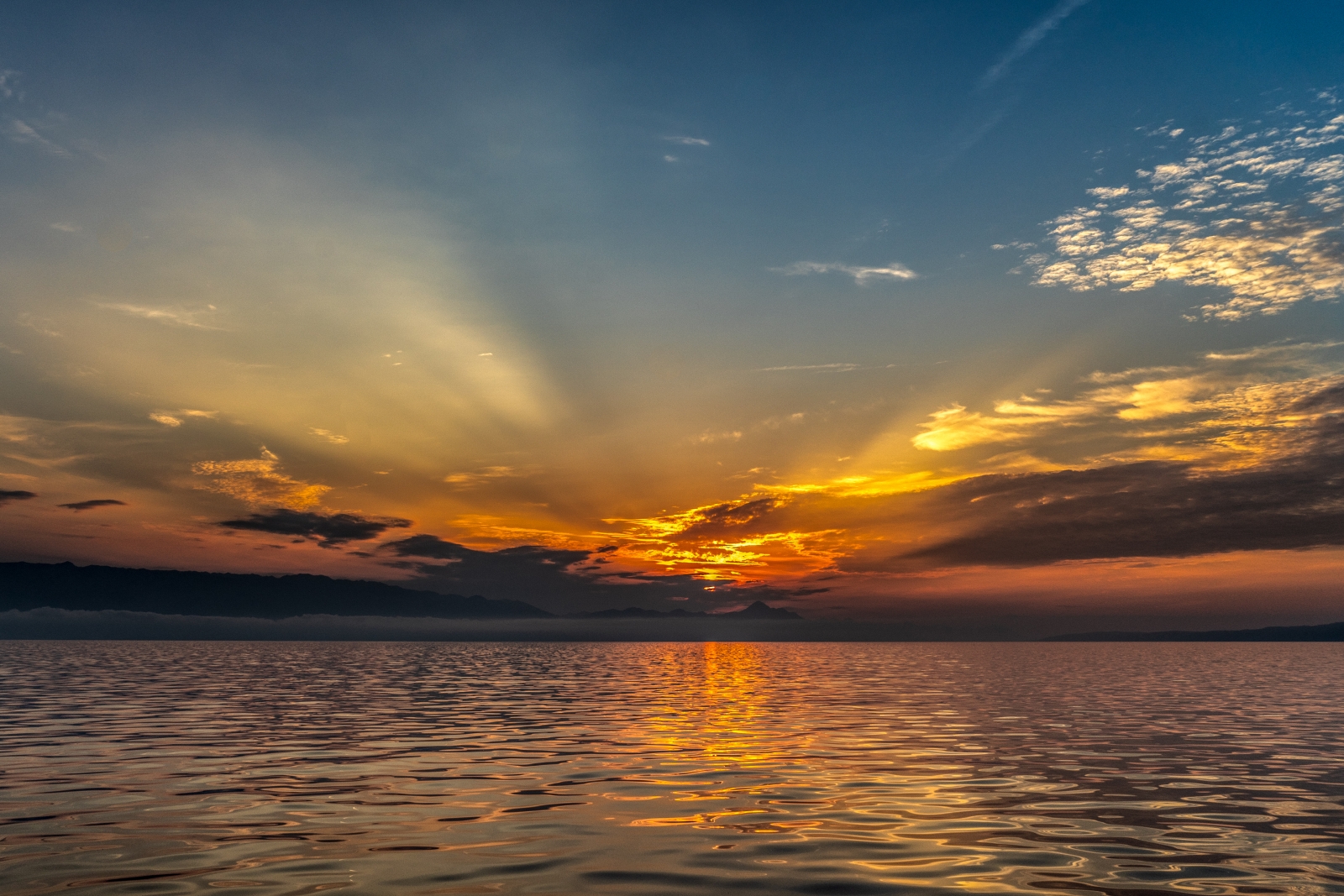 DSC01318-Edit