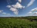DSC03352 DSC03352