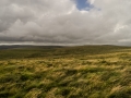 DSC03438 DSC03438